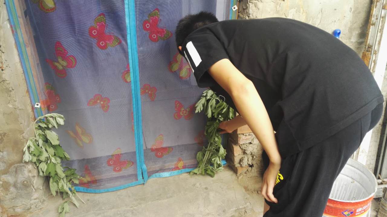 插艾草